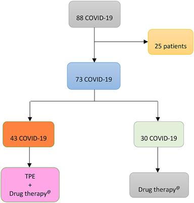 On Therapeutic Plasma Exchange Against Severe COVID-19-Associated Pneumonia: An Observational Clinical Study